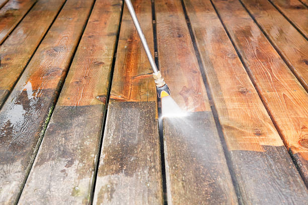 Best Fence Cleaning  in Rio Pinar, FL